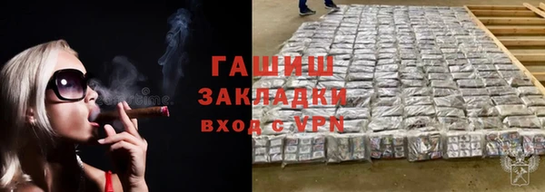 шишки Новодвинск