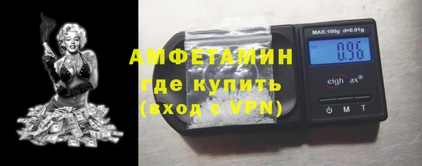 шишки Новодвинск