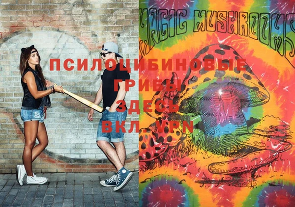 шишки Новодвинск