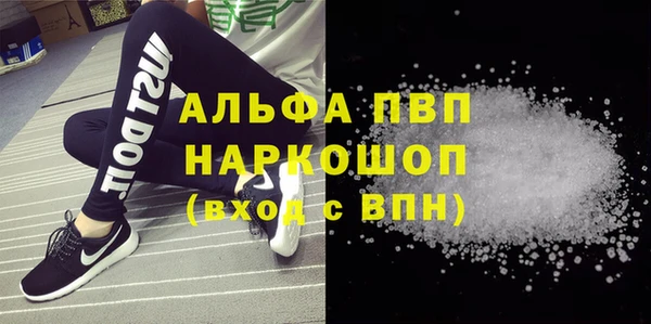 шишки Новодвинск