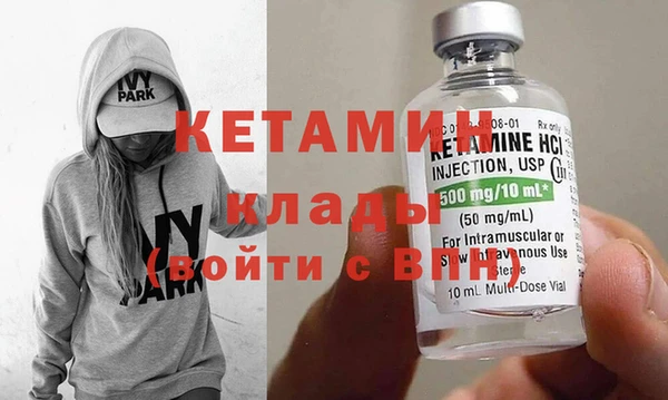 шишки Новодвинск