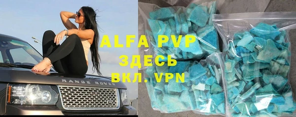 шишки Новодвинск