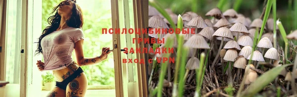дурь Новозыбков