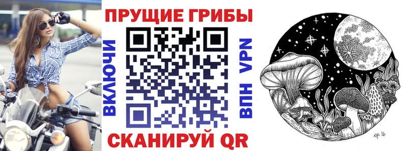 Псилоцибиновые грибы прущие грибы  Северо-Курильск 